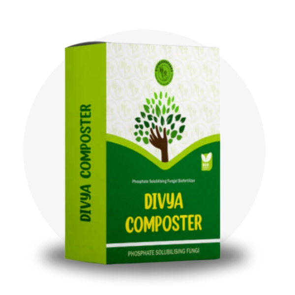Divya COMPOSTER